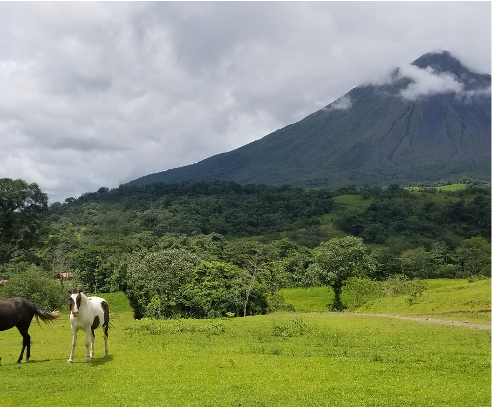 I Spent One Week in a Rustic House in the Rainforest… Here’s What I Learned.